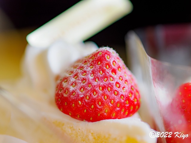 OB110143-ORF_DxO_DeepPRIME_CameraRAW_signed.jpg
