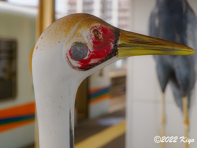 OB180183-ORF_DxO_DeepPRIME_CameraRAW_signed.jpg