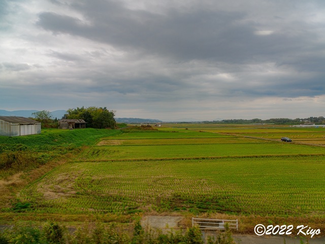 OB180206-ORF_DxO_DeepPRIME_CameraRAW_signed.jpg