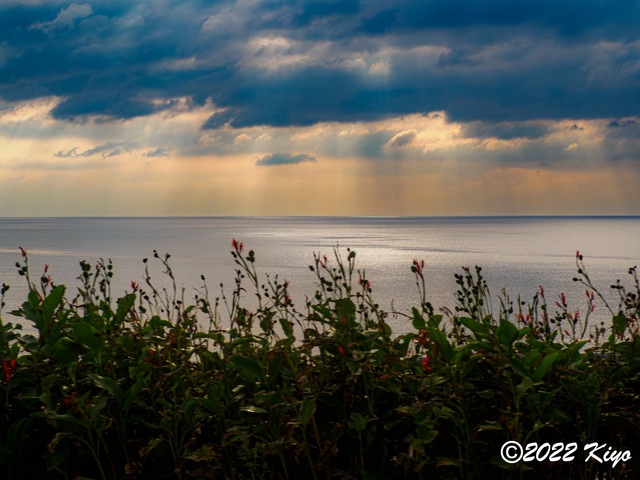 OB180242-ORF_DxO_DeepPRIME_CameraRAW_signed.jpg