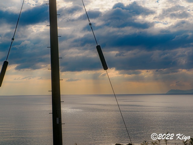 OB180245-ORF_DxO_DeepPRIME_CameraRAW_signed.jpg