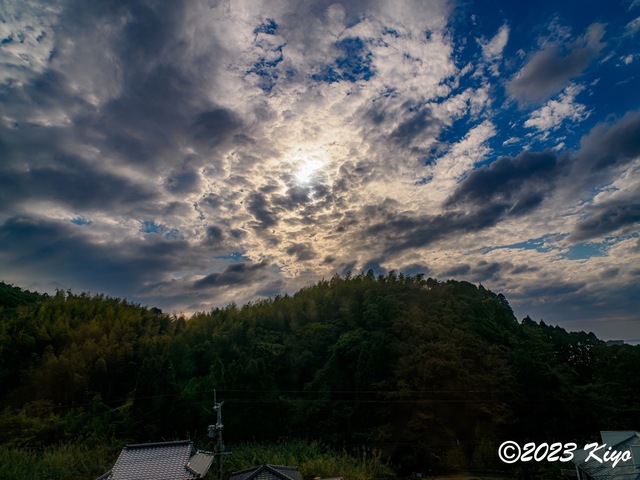OB180269-ORF_DxO_DeepPRIME_CameraRAW_signed.jpg