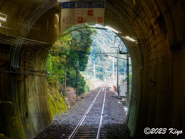 OB180274-ORF_DxO_DeepPRIME_CameraRAW_signed.jpg