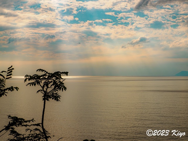 OB180278-ORF_DxO_DeepPRIME_CameraRAW_signed.jpg