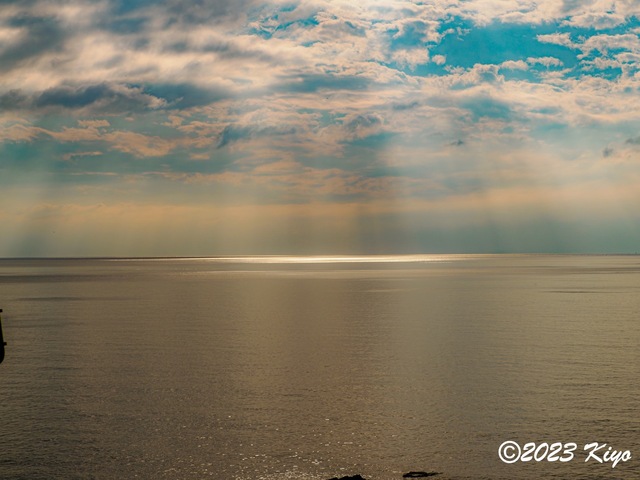 OB180281-ORF_DxO_DeepPRIME_CameraRAW_signed.jpg