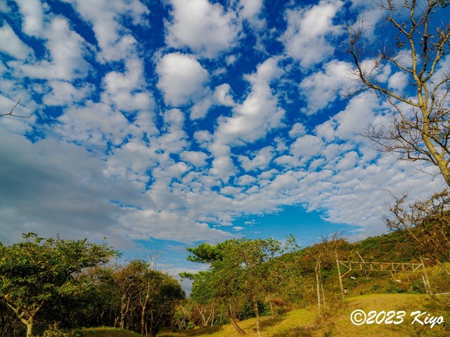 OB180345-ORF_DxO_DeepPRIME_CameraRAW2_signed.jpg