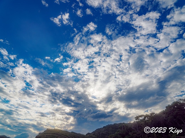 OB180364-ORF_DxO_DeepPRIME_CameraRAW2_signed.jpg