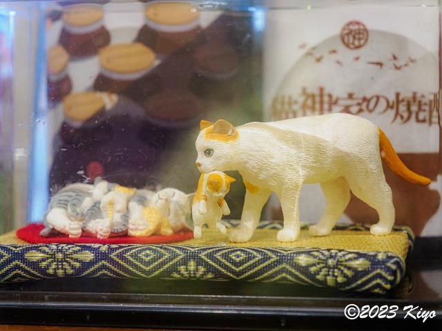 OB190886-ORF_DxO_DeepPRIME_CameraRAW_signed.jpg