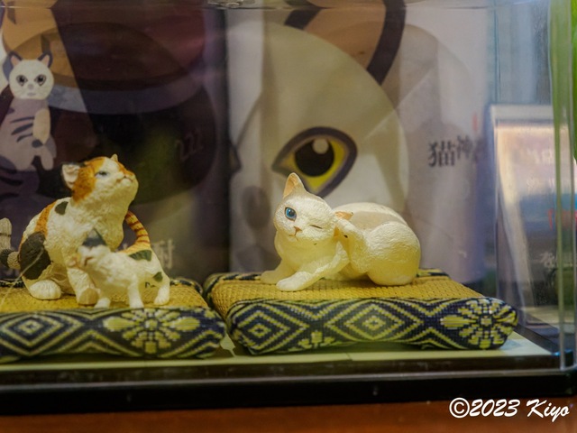 OB190888-ORF_DxO_DeepPRIME_CameraRAW_signed.jpg