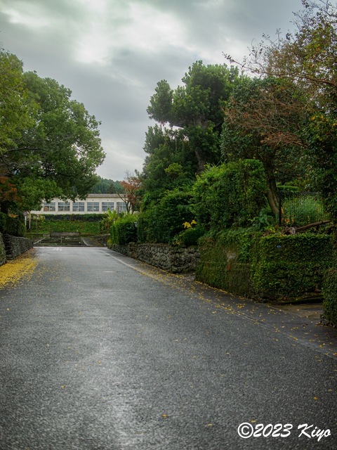 OB190896-ORF_DxO_DeepPRIME_CameraRAW_signed.jpg