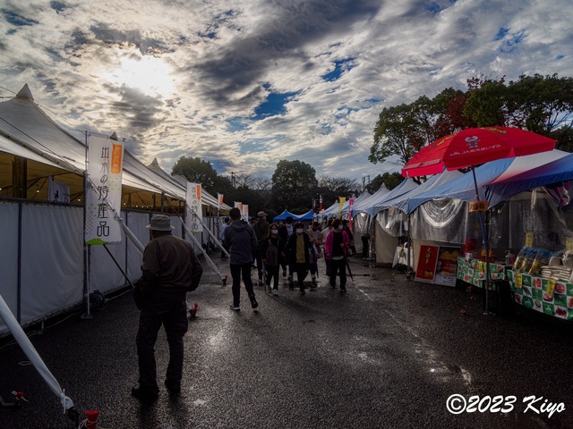 OB191333-ORF_DxO_DeepPRIME_CameraRAW2_signed.jpg