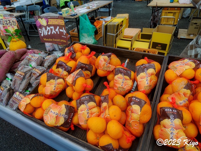 OB191335-ORF_DxO_DeepPRIME_CameraRAW2_signed.jpg
