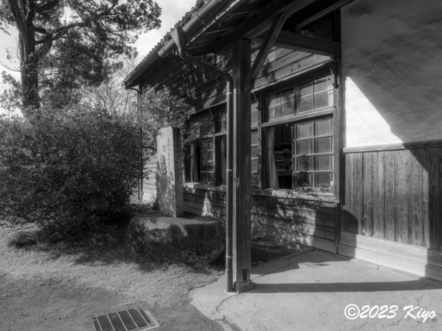 OB202138-ORF_DxO_DeepPRIME_CameraRAW2_signed.jpg