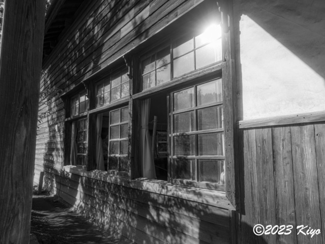 OB202139-ORF_DxO_DeepPRIME_CameraRAW2_signed.jpg