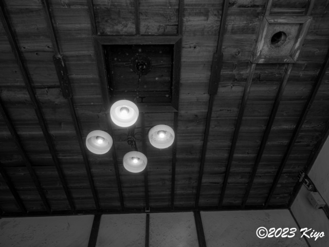 OB202148-ORF_DxO_DeepPRIME_CameraRAW2_signed.jpg