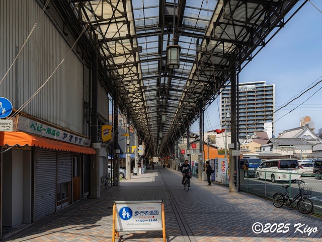 O4053913-DxO_DeepPRIME 3_CameraRAW17_signed.jpg