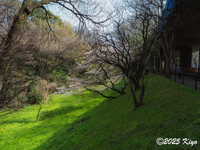O4053927-DxO_DeepPRIME 3_CameraRAW17_signed.jpg