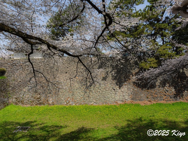O4053971-DxO_DeepPRIME 3_CameraRAW17_signed.jpg