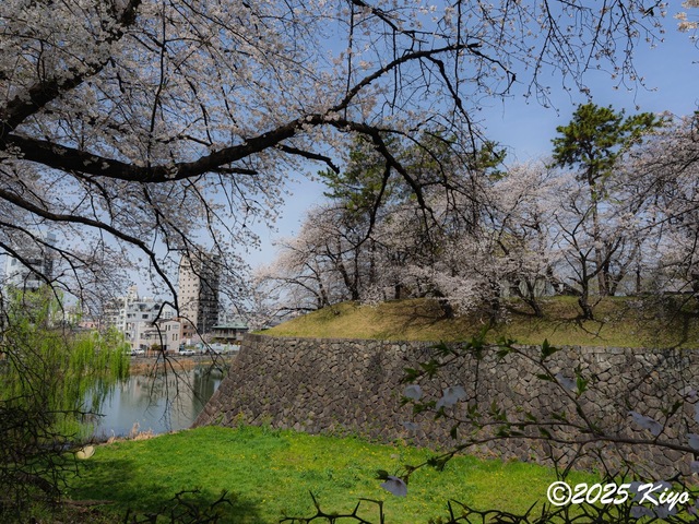O4053981-DxO_DeepPRIME 3_CameraRAW17_signed.jpg