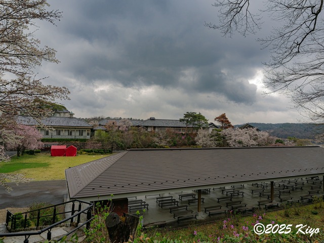 O4064241-DxO_DeepPRIME 3_CameraRAW17_signed.jpg